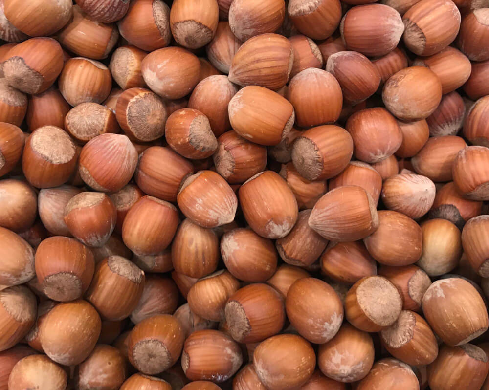 Fındık